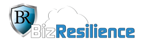 BizResilience-web-logo-01